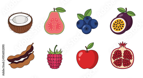 Assortment of colorful tropical fruit illustrations