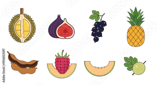 Assortment of fresh fruits vector illustration
