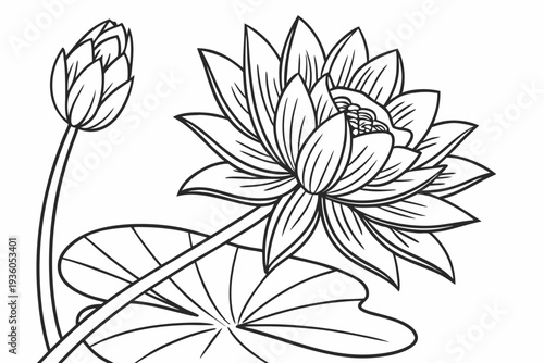 coloring page line art the lotus flower black vector