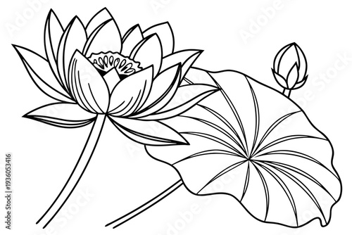 coloring page line art the lotus flower black vector