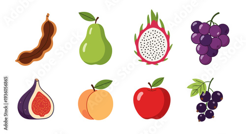 Colorful assortment of fresh fruits illustration