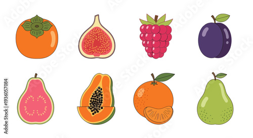 Colorful fruit assortment illustration
