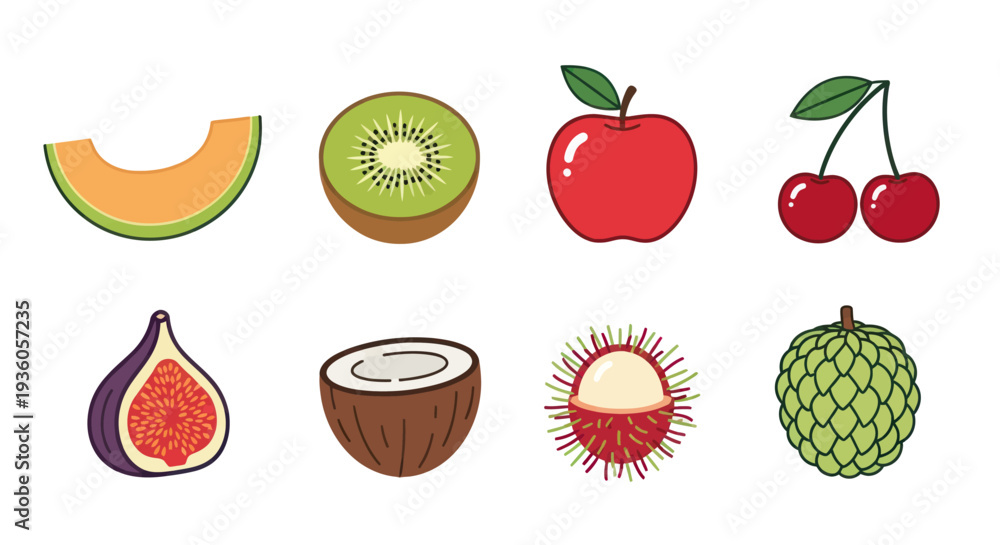 Fototapeta premium Colorful fruits isolated vector illustrations