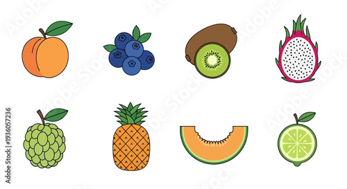 Colorful fruits collection illustration