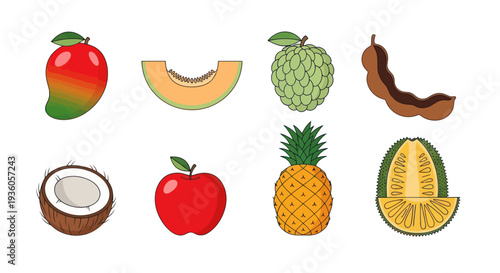 Colorful fruits isolated vector illustrations