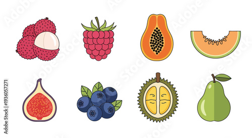 Colorful fruits vector illustrations