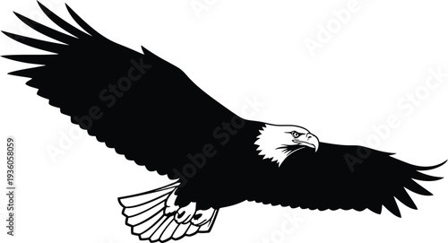 Bald eagle silhouette in flight displays powerful outstretched wings against a stark white backdrop.