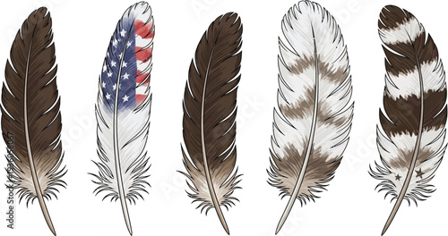 A collection of five distinct bird feathers includes one decorated with an American flag pattern on a white background.