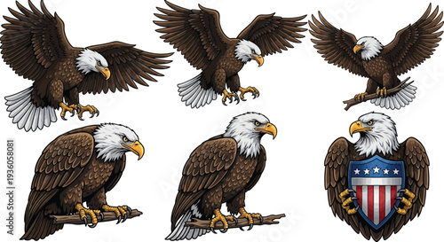 Several illustrations depict bald eagles in various poses, including perched and wings spread, alongside a shield emblem.