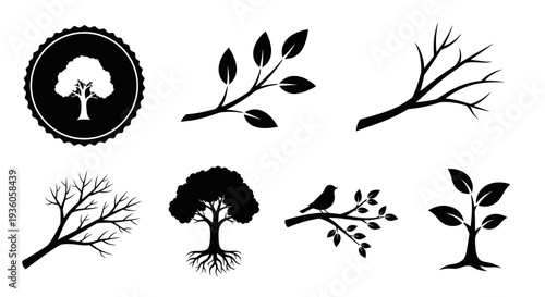 Tree Silhouettes Collection: Growth, Nature, Seasons, and Life Icons