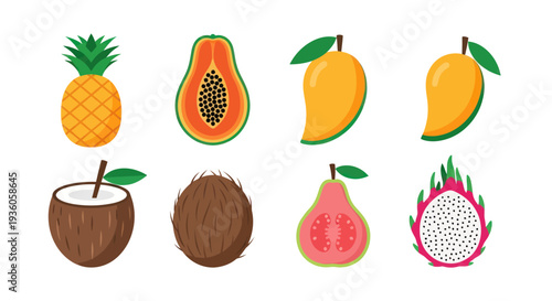 Colorful tropical fruits illustration isolated