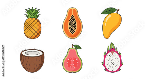 Colorful tropical fruits illustration on white