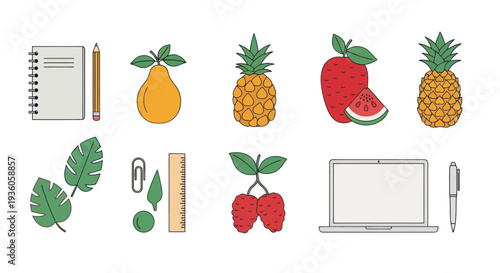 Colorful vector illustration of various objects