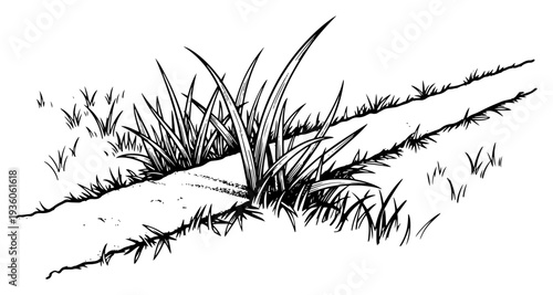 Hand drawn sketch of a rural dirt path through wild grass