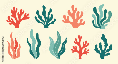 Colorful Coral Collection