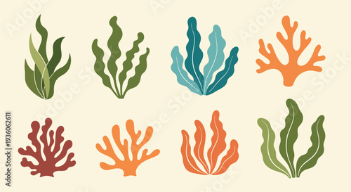 Colorful Coral and Seaweed Set