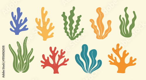 Colorful Coral Collection