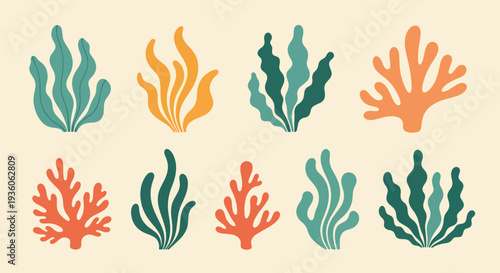 Colorful Coral Clipart Set