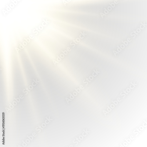 PNG transparent sunlight overlay with soft golden beams. Rays illuminate scene naturally and softly. Perfect for dreamy photo and vector compositions.