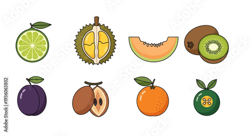 Assorted colorful fresh fruit illustrations