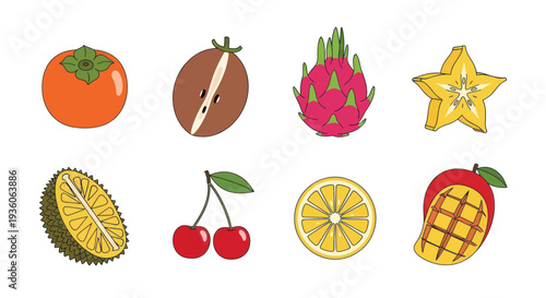 Assorted colorful tropical fruit illustrations