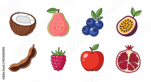 Assorted colorful tropical fruits illustration