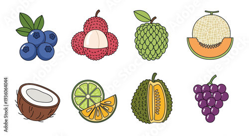 Assortment of colorful fruit illustrations
