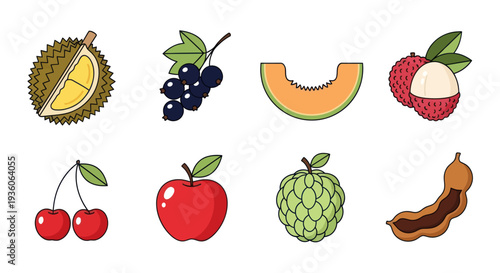 Assortment of colorful fruit illustrations