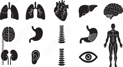 Human Anatomy and Internal Organs Silhouette Icon Set