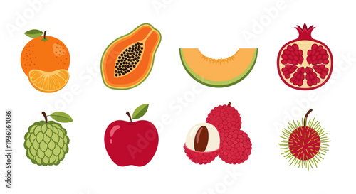 Assortment of colorful tropical fruit illustrations