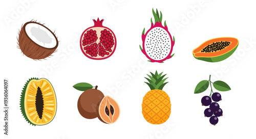 Assortment of colorful tropical fruit illustrations