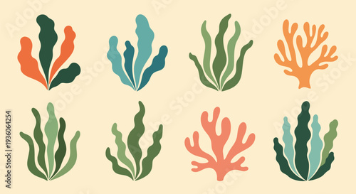 Colorful Seaweed and Coral Set