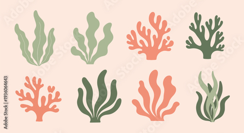 Colorful Coral and Seaweed Set