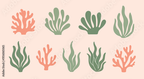 Coral and Seaweed Set