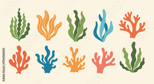 Colorful Coral Collection