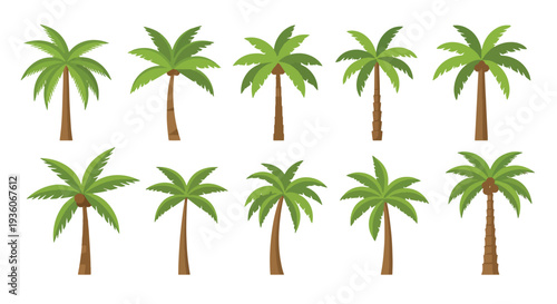 Palm Trees Pattern