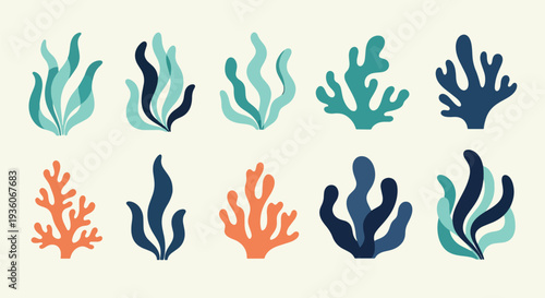 Coral Reef Elements