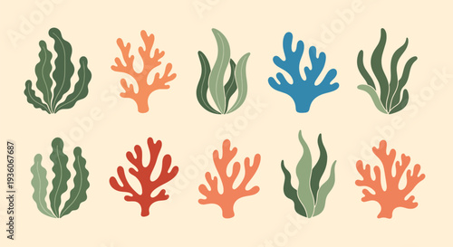Colorful Coral and Seaweed Collection