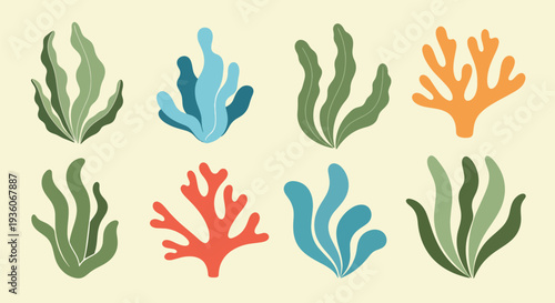 Colorful Coral and Seaweed