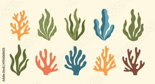 Colorful Coral Collection