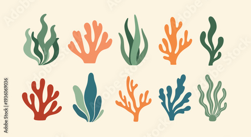 Colorful Coral Collection