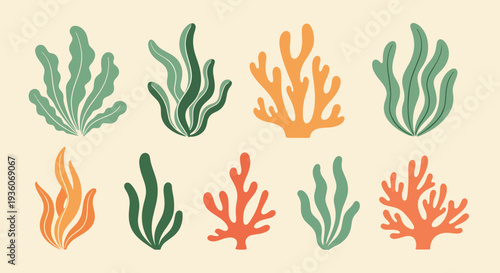 Coral and Seaweed Graphics