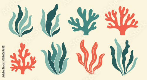 Colorful Coral and Seaweed Collection