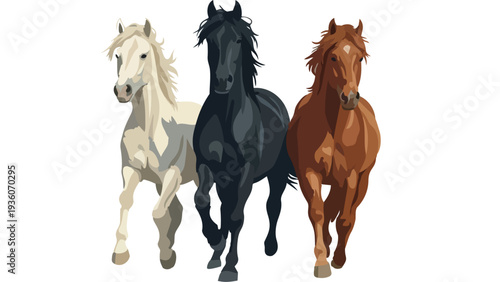 Three Beautiful Horses Group Standing Together Vector Illustration
