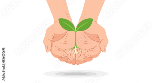 Hands cradling a young plant with visible roots, nurturing growth and new life in a gentle, caring gesture.