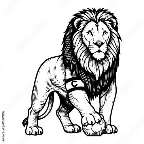 Engraving style illustration of a majestic lion wearing a soccer captain armband with a ball