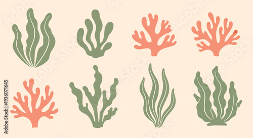 Coral and Seaweed Collection