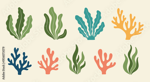 Colorful Coral and Seaweed Set