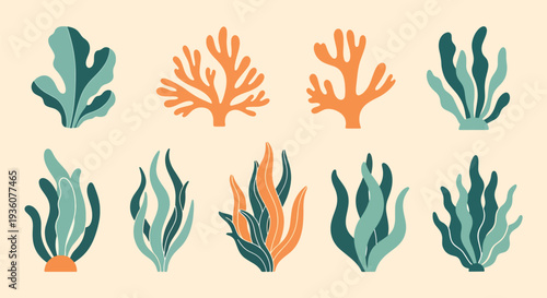 Coral and Seaweed Elements
