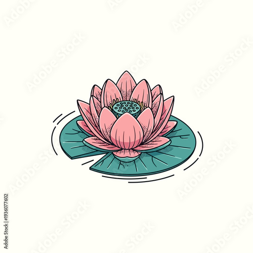 Vector illustration of a beautiful pink lotus flower blooming on a lily pad in water, isolated on white background